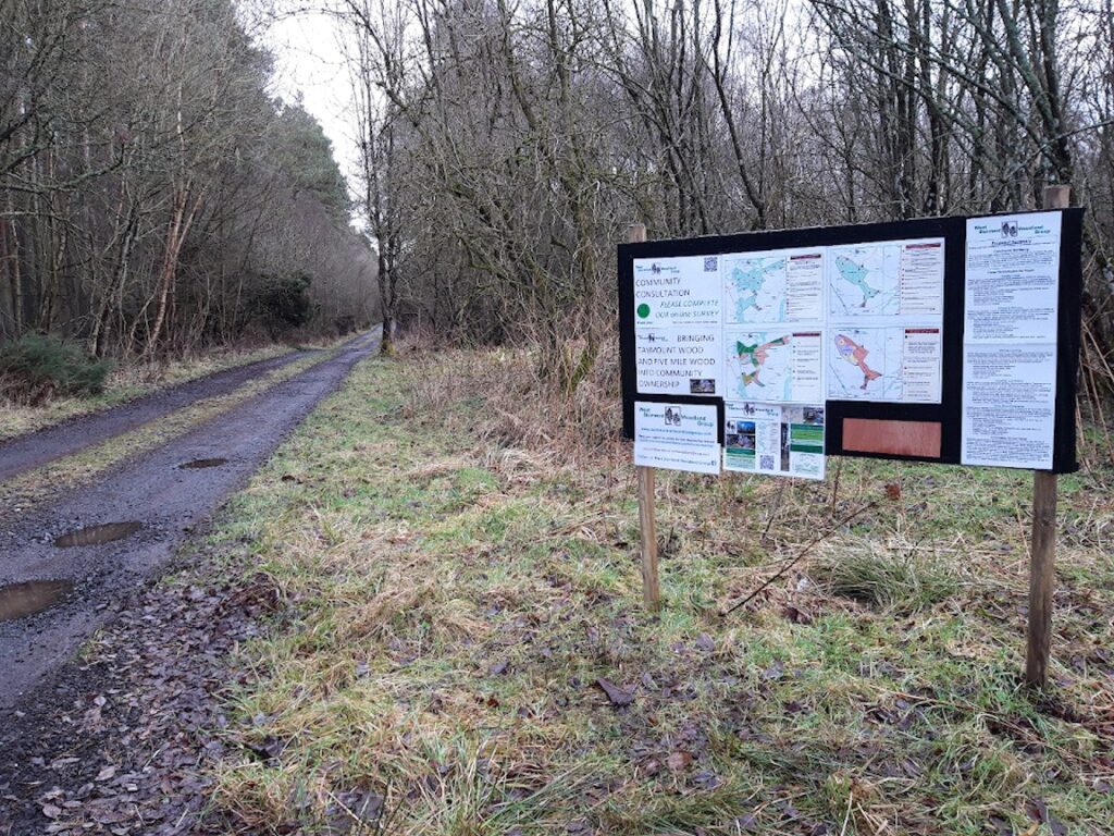 West Stormont Woodland Group